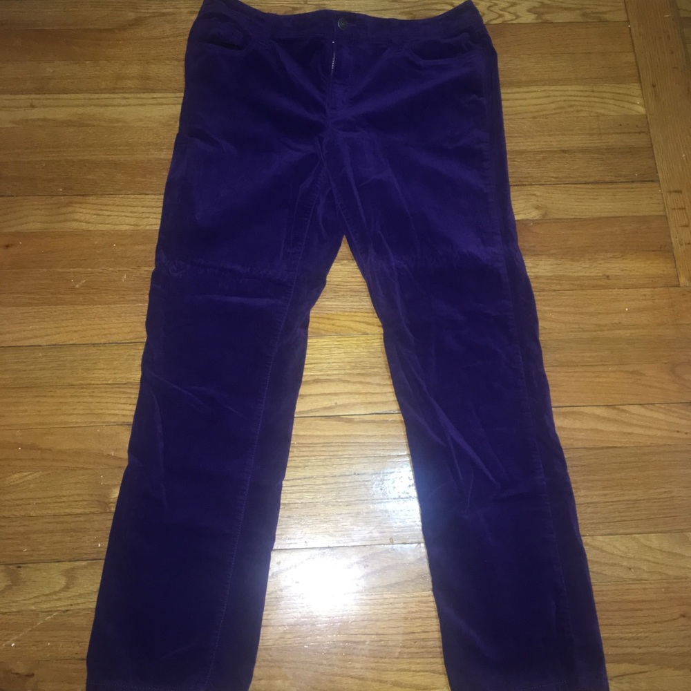 Purple pants by Loft